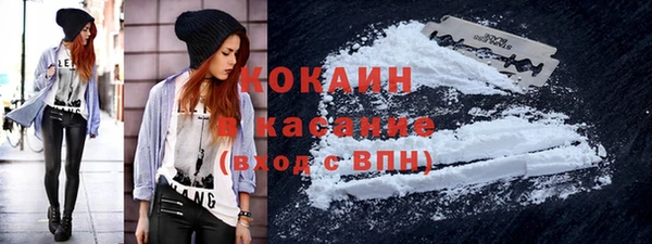 соль ск Козловка