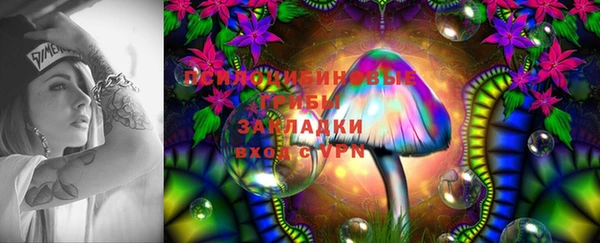 соль ск Козловка