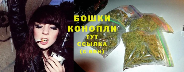 соль ск Козловка