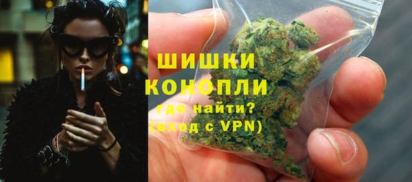 соль ск Козельск