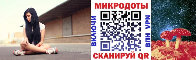 хочу   Новочебоксарск  гидра tor  Галлюциногенные грибы Cubensis 
