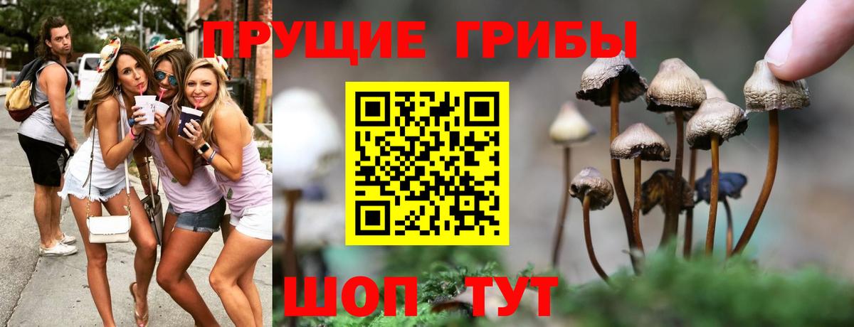 Галлюциногенные грибы ЛСД  Псилоцибиновые грибы Psilocybine cubensis  Вход с VPN  Новочебоксарск 